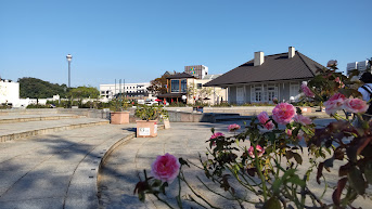 秋のベルニー公園のピンク薔薇